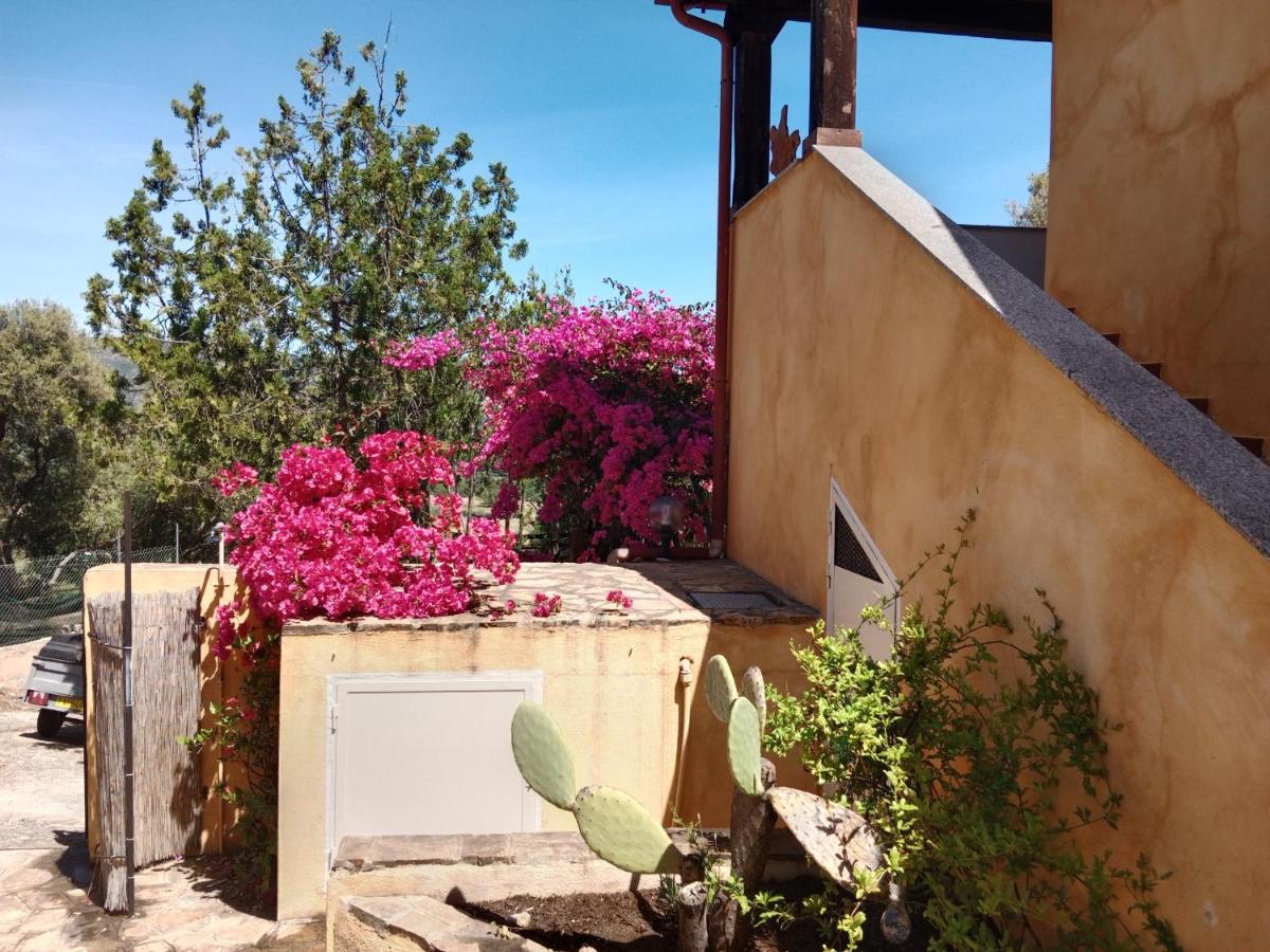 Ferienwohnung Casa Li Scopi - Ocean View San Teodoro  Exterior foto