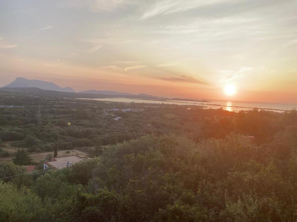 Ferienwohnung Casa Li Scopi - Ocean View San Teodoro  Exterior foto
