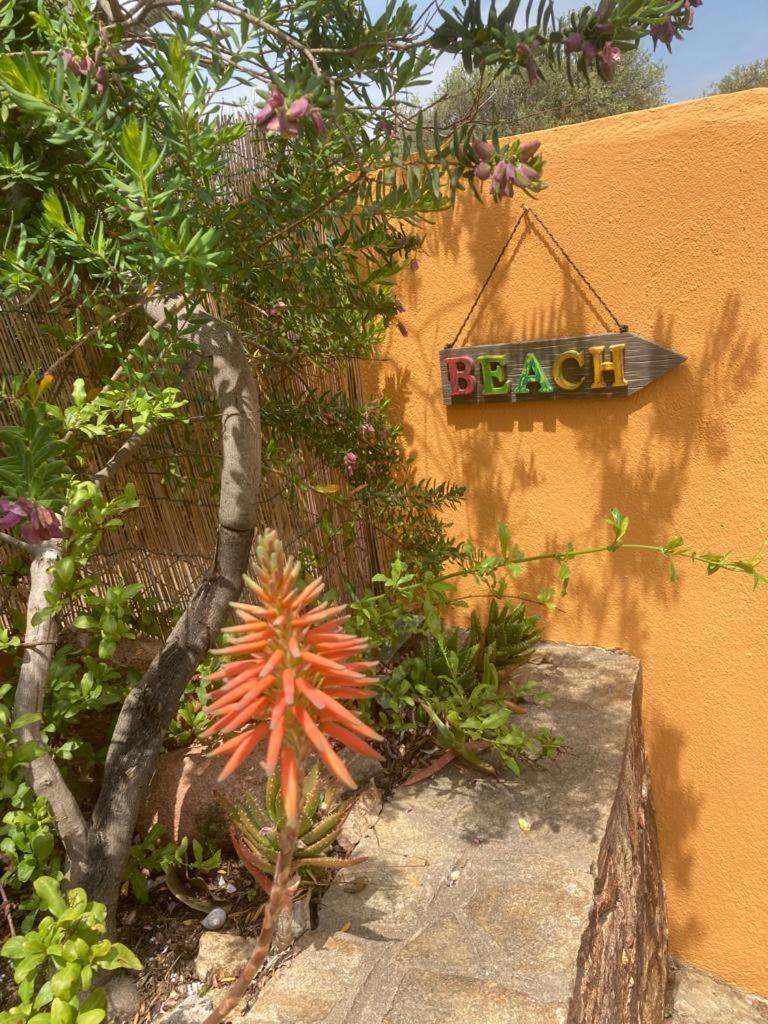 Ferienwohnung Casa Li Scopi - Ocean View San Teodoro  Exterior foto