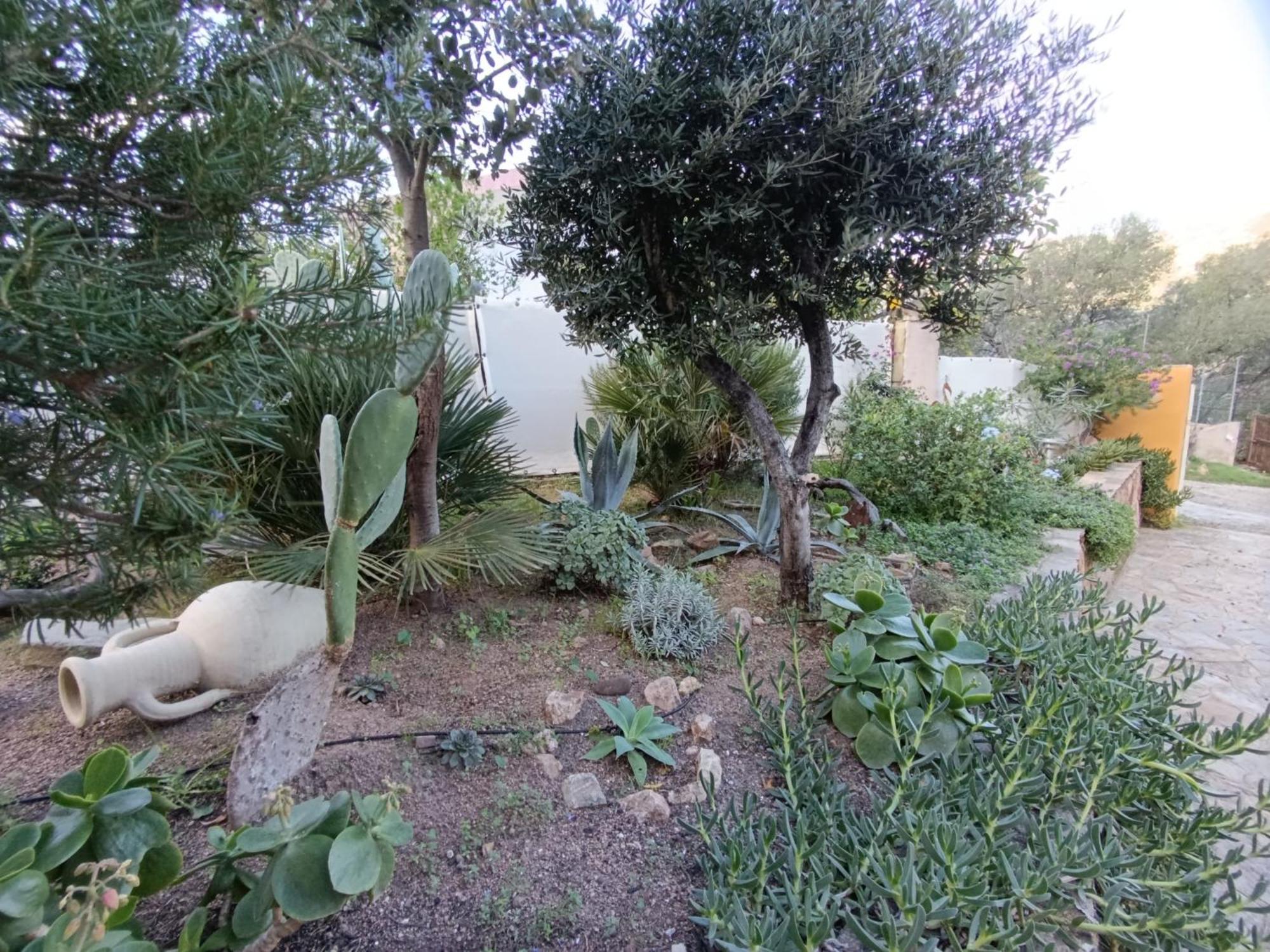 Ferienwohnung Casa Li Scopi - Ocean View San Teodoro  Exterior foto